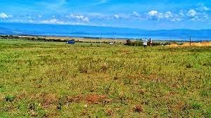 land-3